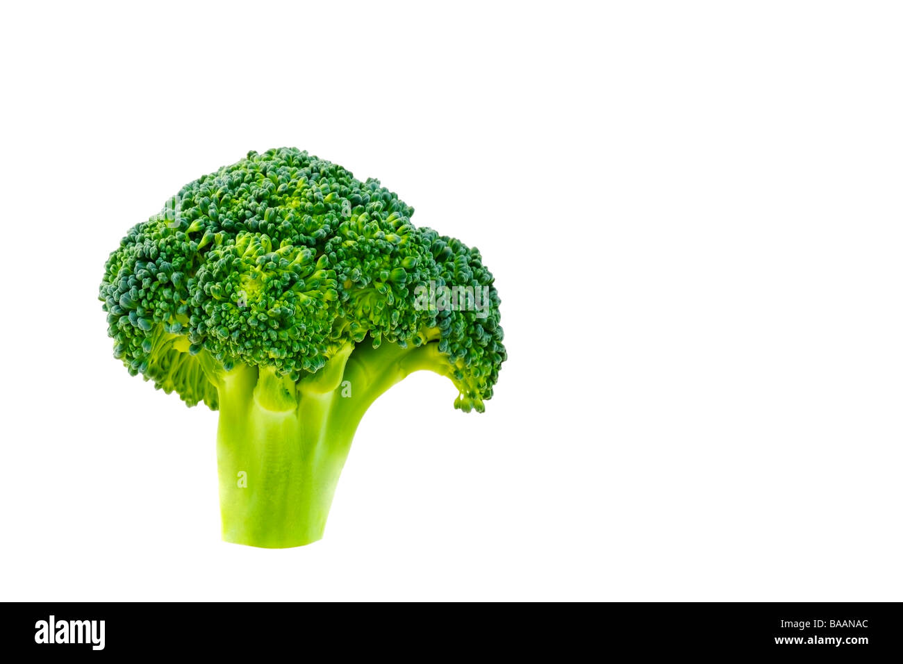 Isolato di broccoli verdi closeup con sfondo bianco Foto Stock