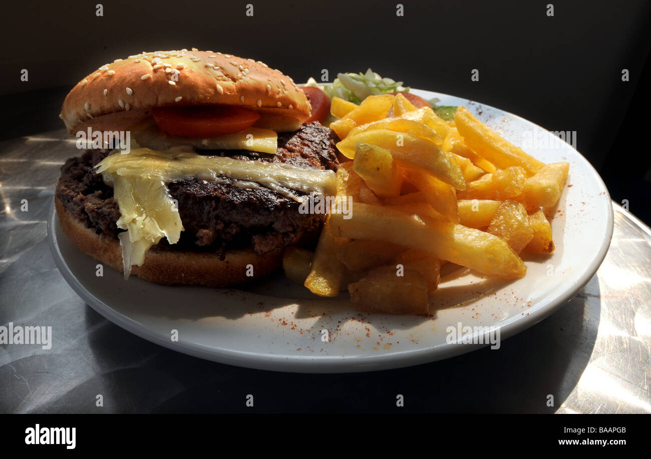 Hamburger e patatine su una piastra bianca Foto Stock