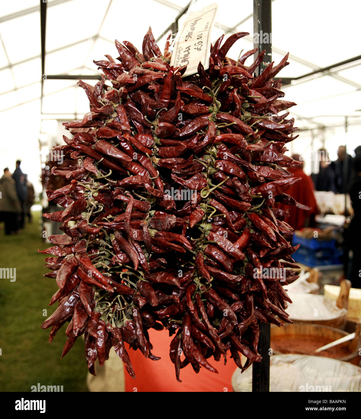 Una stringa di peperoncino rosso sul display da Fiery Food Festival a Brighton SUSSEX REGNO UNITO Foto Stock