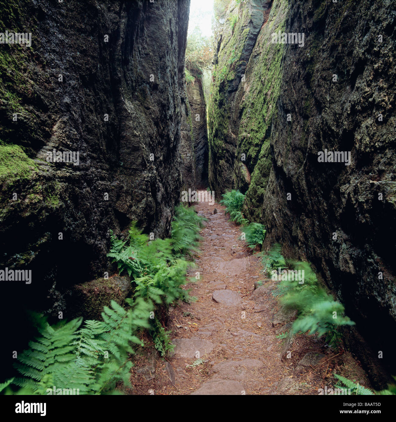 Sentiero in mezzo alle rocce Foto Stock