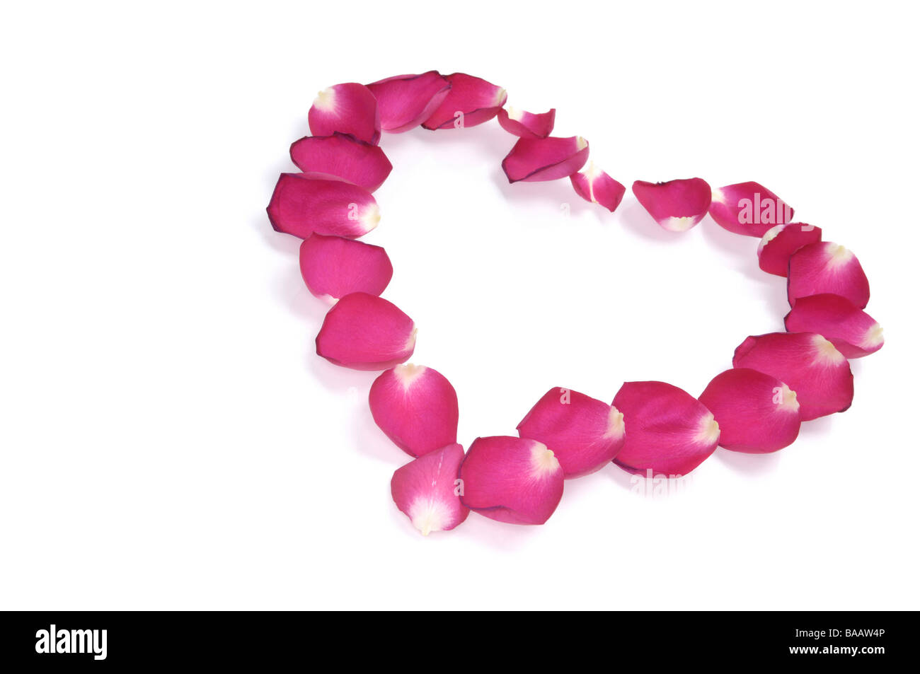 A forma di cuore ad andamento della red petali di rosa Foto Stock