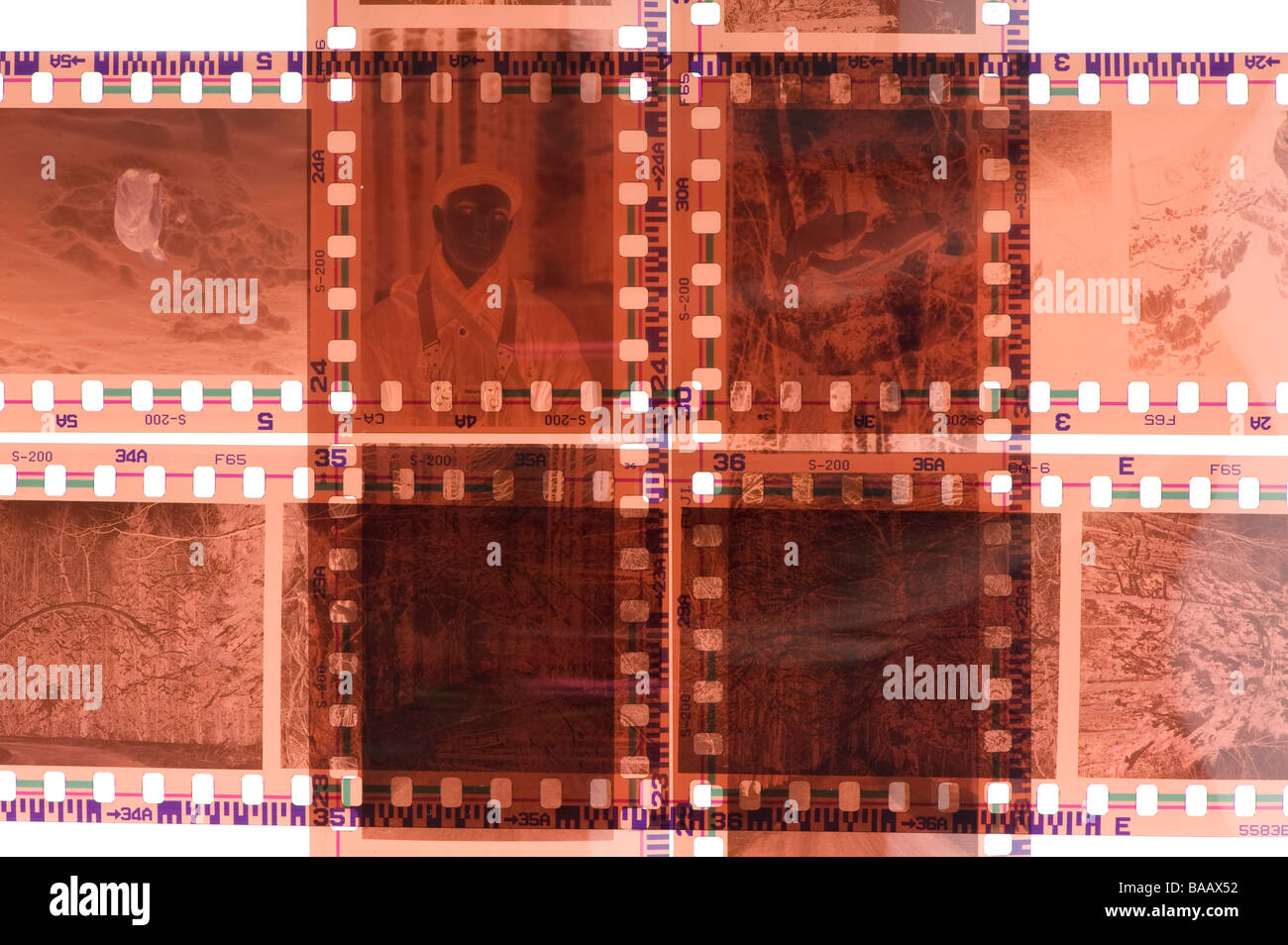 Oggetto bianco sulla pellicola fotografica macro negativo Foto Stock