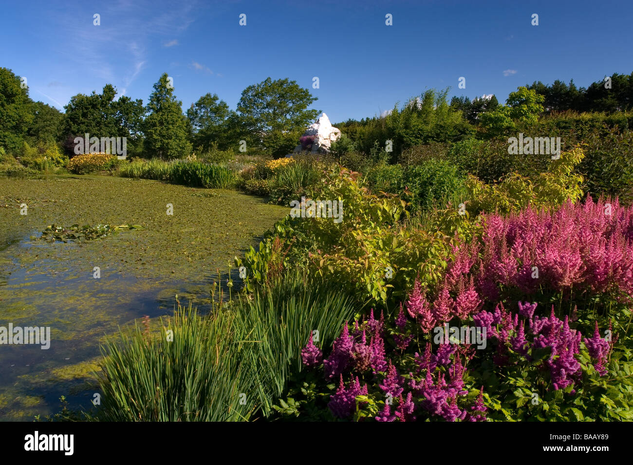 Il Royal Horticultural Society Garden Harlow Carr in estate Foto Stock