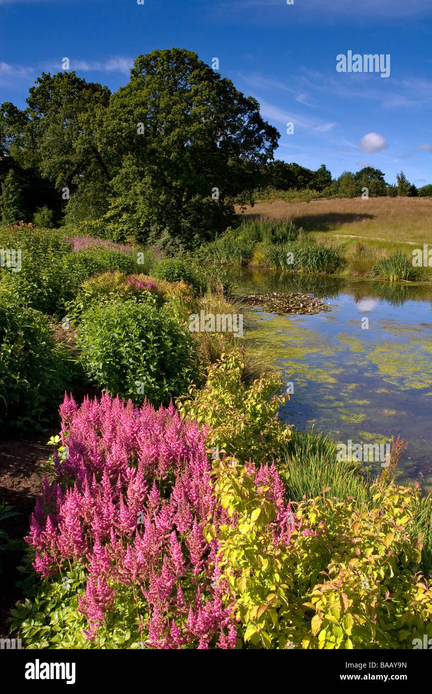 Il Royal Horticultural Society Garden Harlow Carr in estate Foto Stock