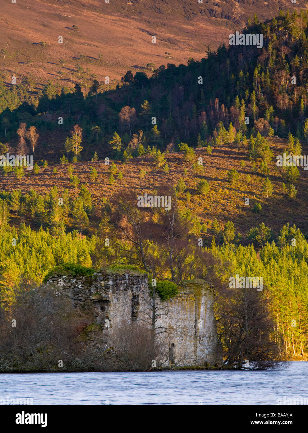 Highlands scozzesi Cairngorms National Park castello sul Loch un Eilein circondato da Caledonian della foresta di Rothiemurchus estate Foto Stock