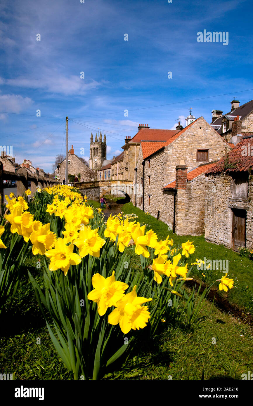 Giunchiglie accanto a Castlegate in Helmsley North Yorkshire Foto Stock