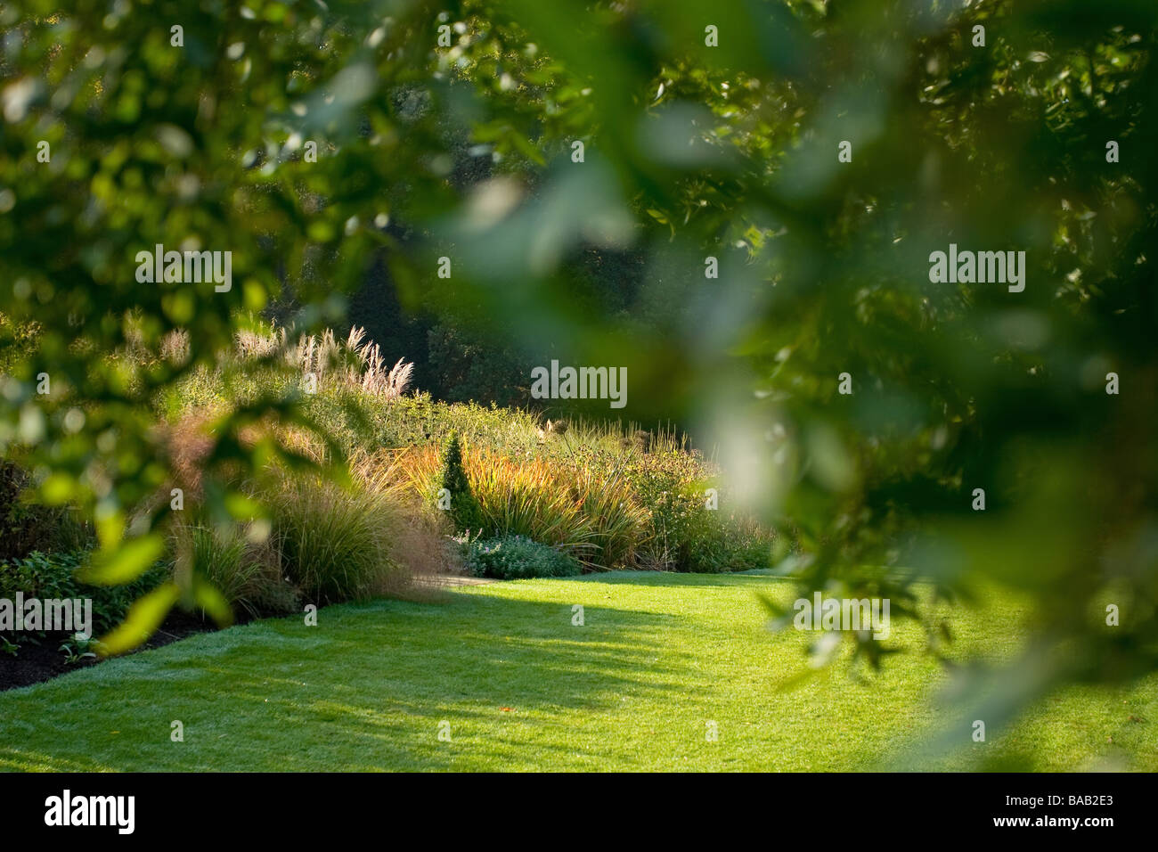 Il Royal Horticultural Society Garden Harlow Carr in autunno Foto Stock