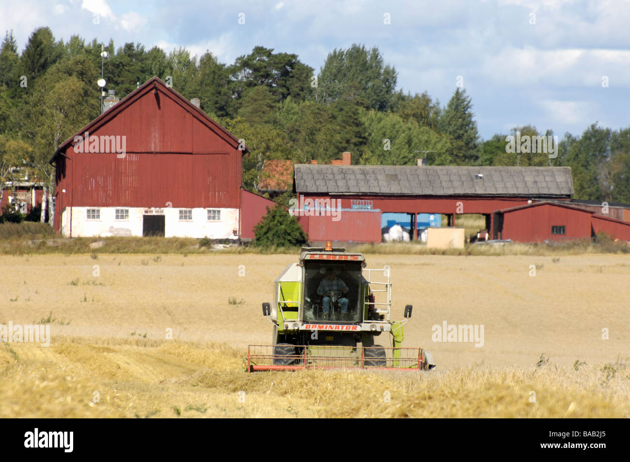 Agricoltura Svezia Foto Stock