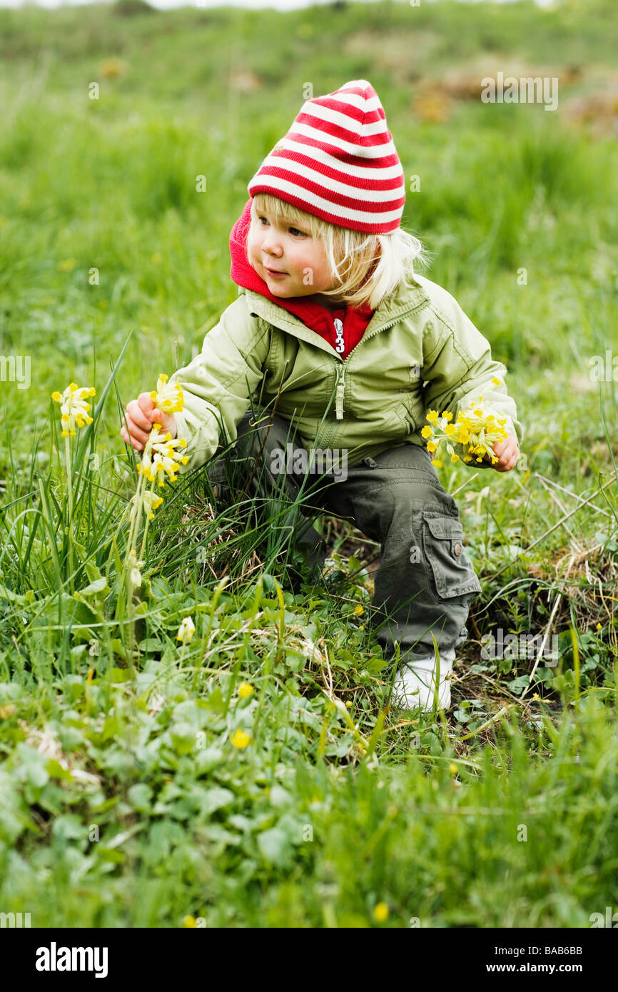 Bambino cowslips picking, Svezia. Foto Stock
