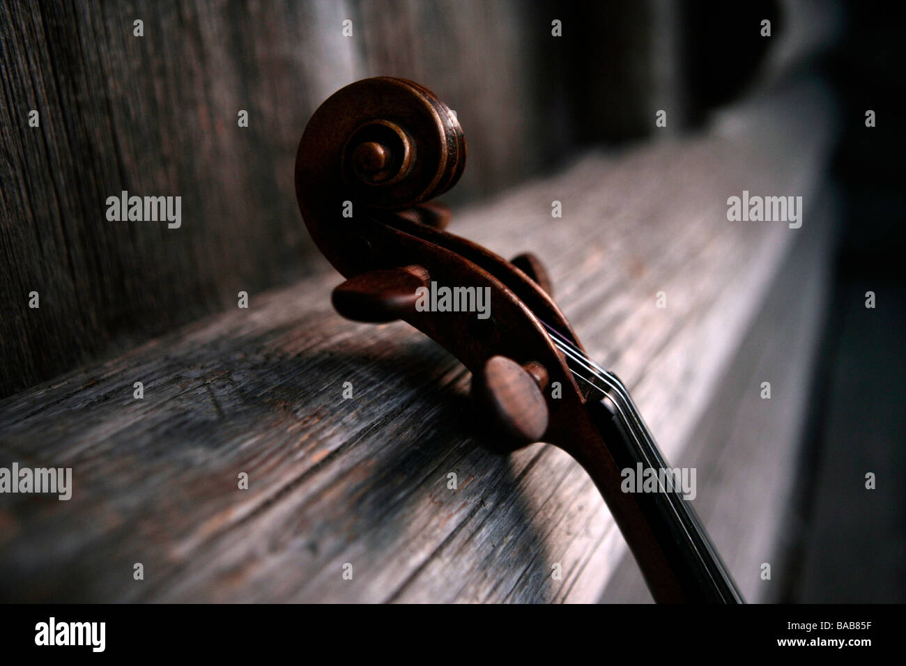 Un violino. Foto Stock