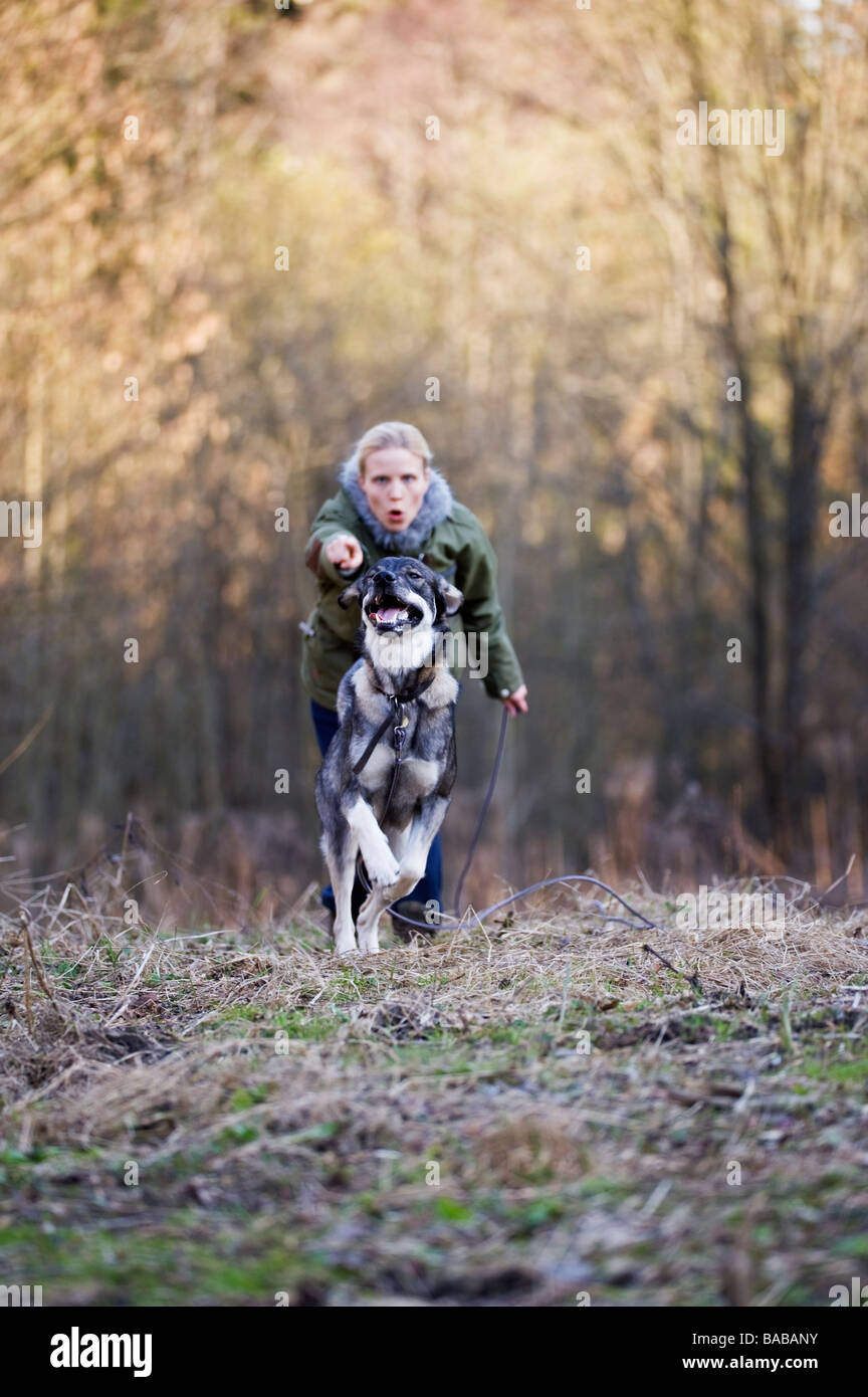 Cane reagisce ai suoi proprietari il comando. Foto Stock