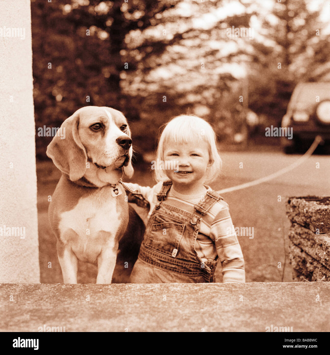 Una ragazza con un cane Islanda Foto Stock
