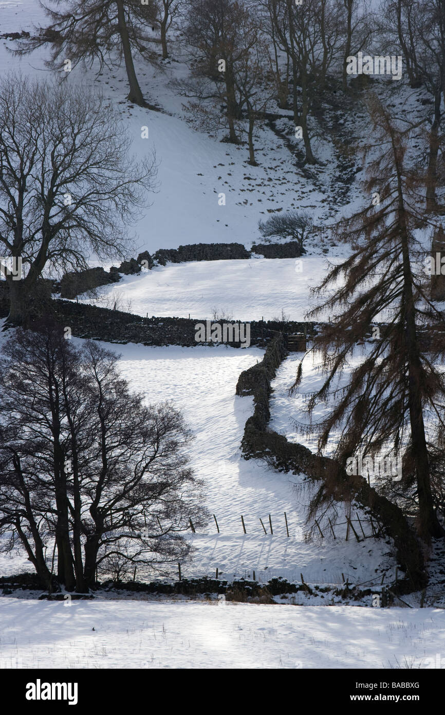 Low Row Swaledale in inverno North Yorkshire England Regno Unito Foto Stock