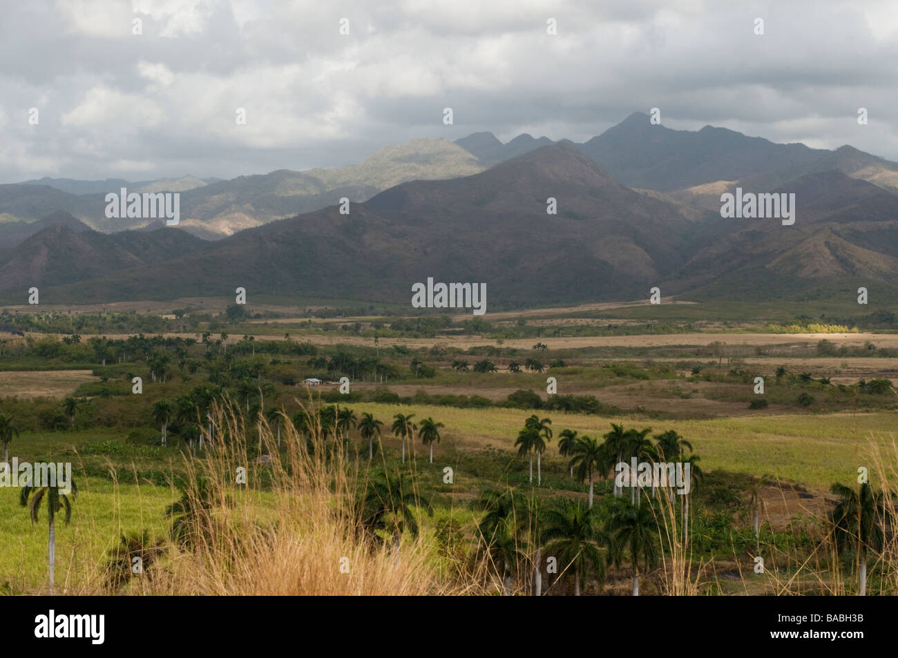 I monti e la valle con palme e i campi in una scena pastorale al di fuori di Trinidad, Cuba. Foto Stock
