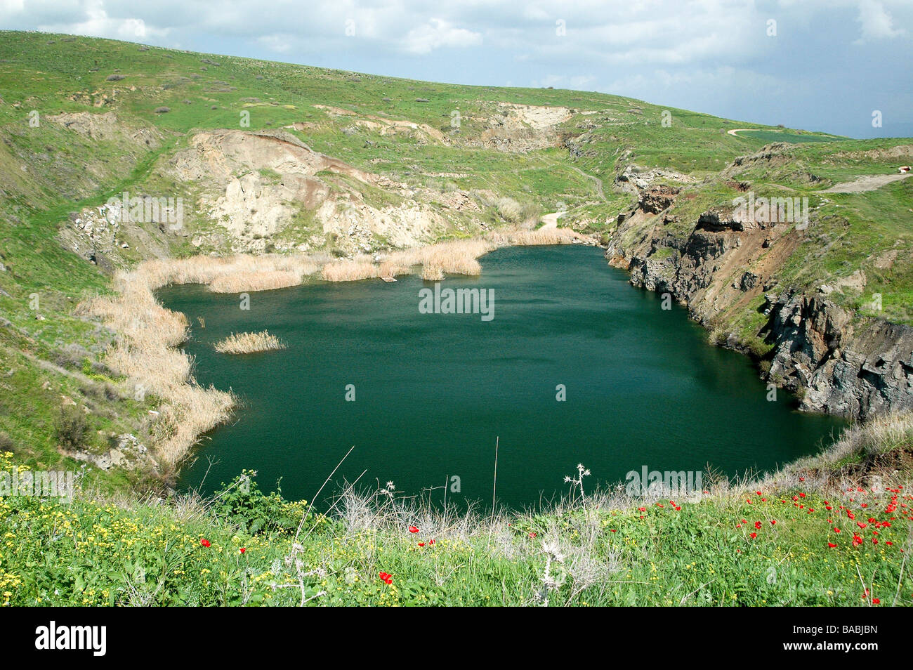 Israele Giordania valle il lago nascosto una pioggia d'inverno piscina e fiori di primavera Foto Stock