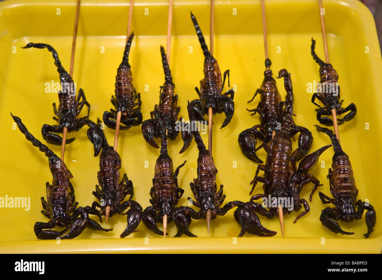 Cibi esotici come grigliate di scorpion in vendita da bancarelle, la Donghuamen Yeshi mercato notturno, Pechino, Cina Foto Stock