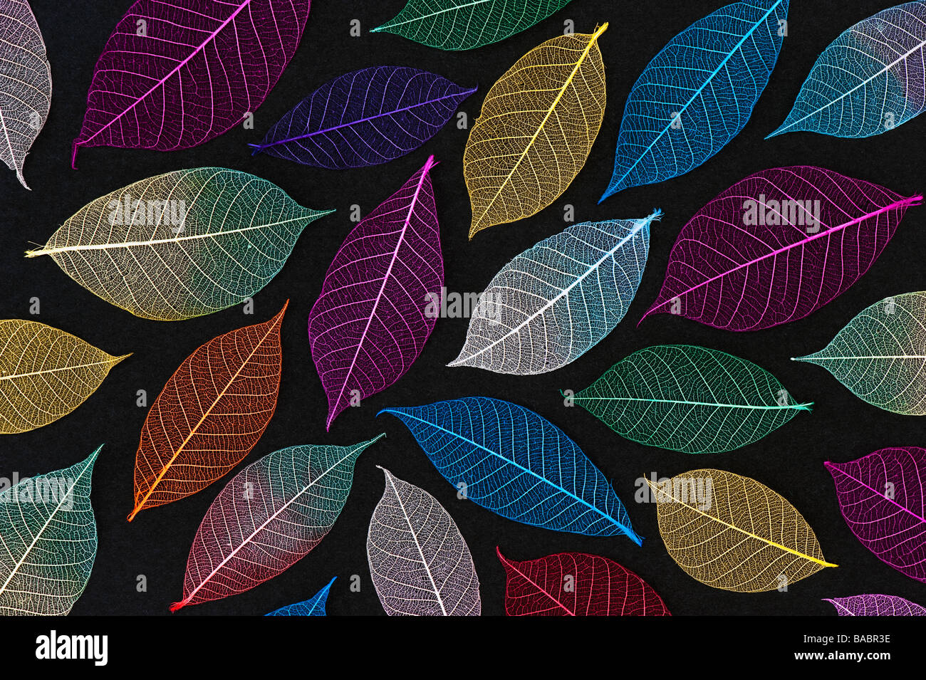 Colorate foglie scheletro pattern su sfondo nero Foto Stock Colorate foglie scheletro pattern su sfondo nero Foto Stock