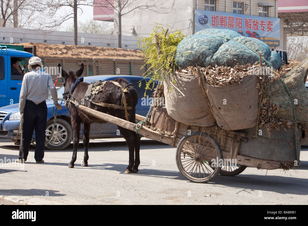 Un contadino famer con un sovraccarico donkey cart in Mongolia interna della Cina settentrionale Foto Stock