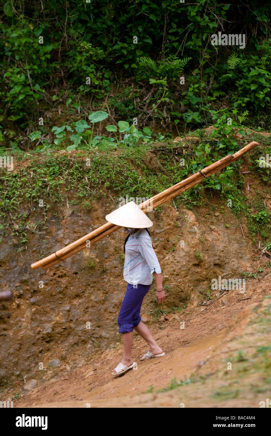 Vietnam Hoa Binh provincia, Ban Ko Muong village di Tay etnica donna bianca che porta il bambù Foto Stock