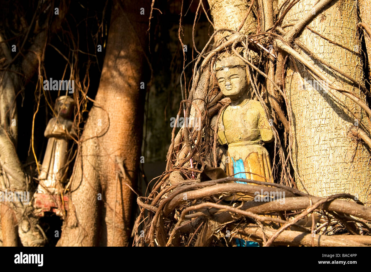Il Vietnam, Hanoi, Ho Tay Lake in occidente, figurine in un albero, casa gli spiriti Foto Stock