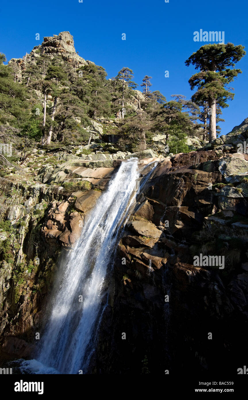 Francia, Haute Corse, Niolo area, al di sotto di Paglia Orba, durante la salita verso il rifugio Ciottulu, Radule cascata Foto Stock