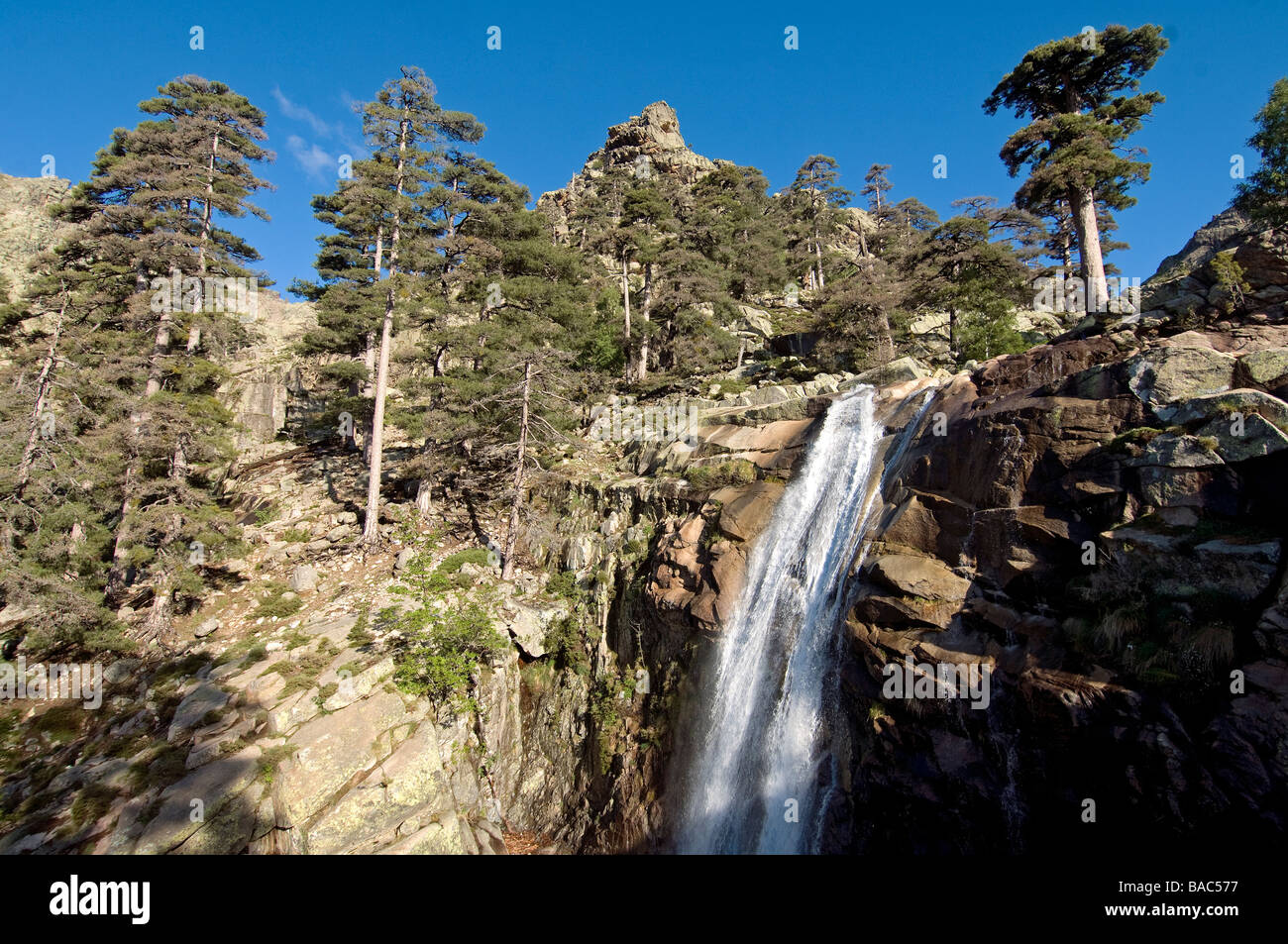 Francia, Haute Corse, Niolo area, al di sotto di Paglia Orba, durante la salita verso il rifugio Ciottulu, Radule cascata Foto Stock