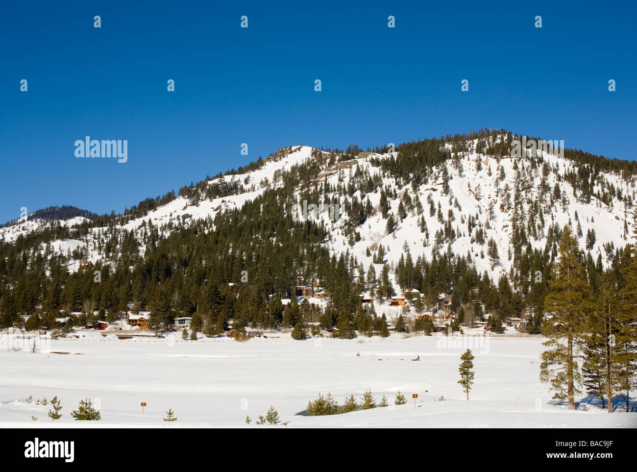 Olympic Valley California deserto avventure Sled Dog Tours Foto Stock