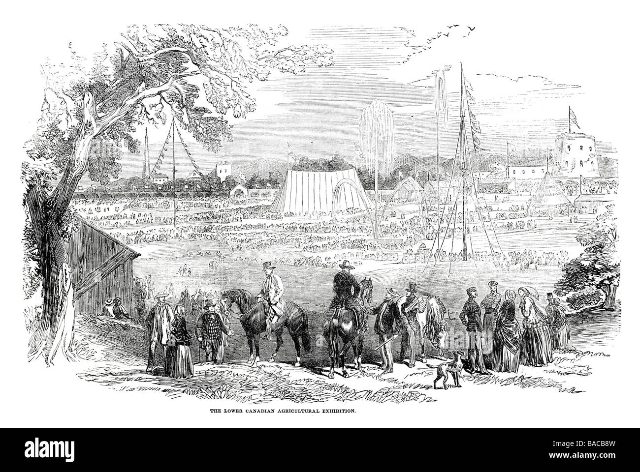 La canadese inferiore mostra agricola 1854 Foto Stock