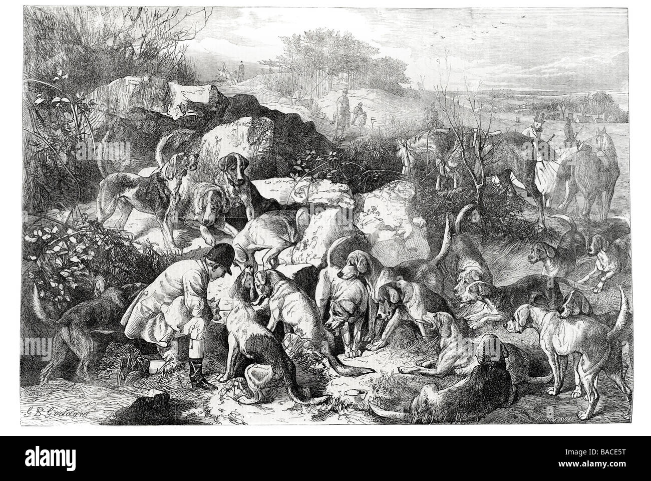 Andato a terra disegnata da g b goddard la caccia alla volpe tracking chase uccidendo 1867 Foto Stock