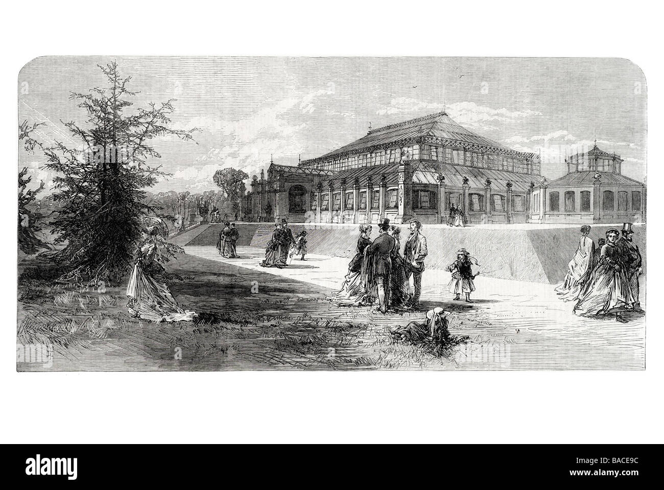 Il giardino d'inverno o casa clima temperato in Royal Botanic Gardens di Kew 1867 Foto Stock