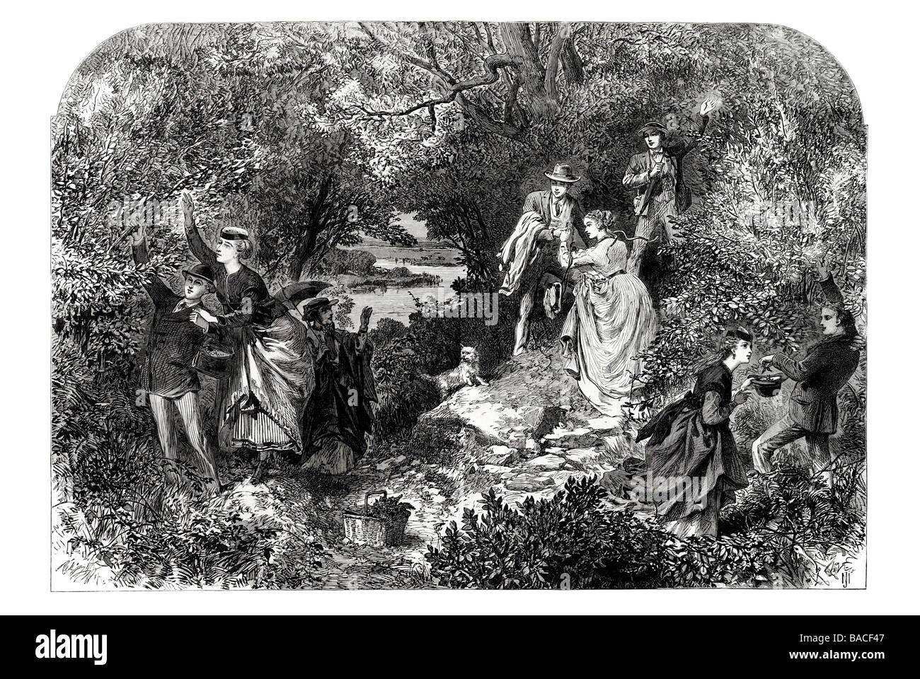 Un giorni nutting 1868 Foto Stock