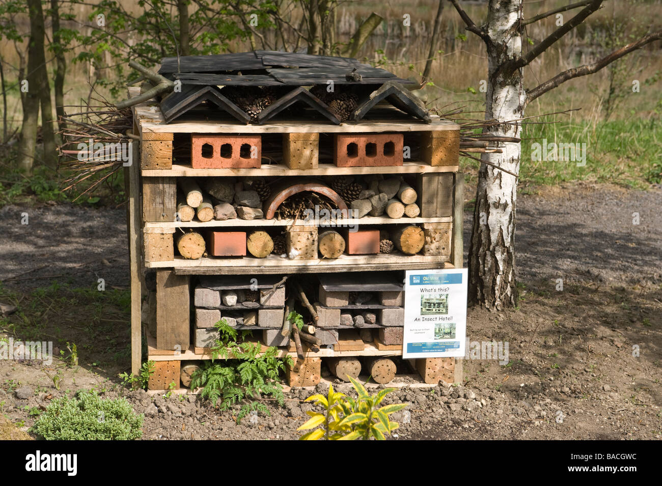 Insetto 'Hotel' costruire da volontari vecchio Moor zone umide riserva RSPB South Yorkshire Inghilterra UK Europa aprile Foto Stock