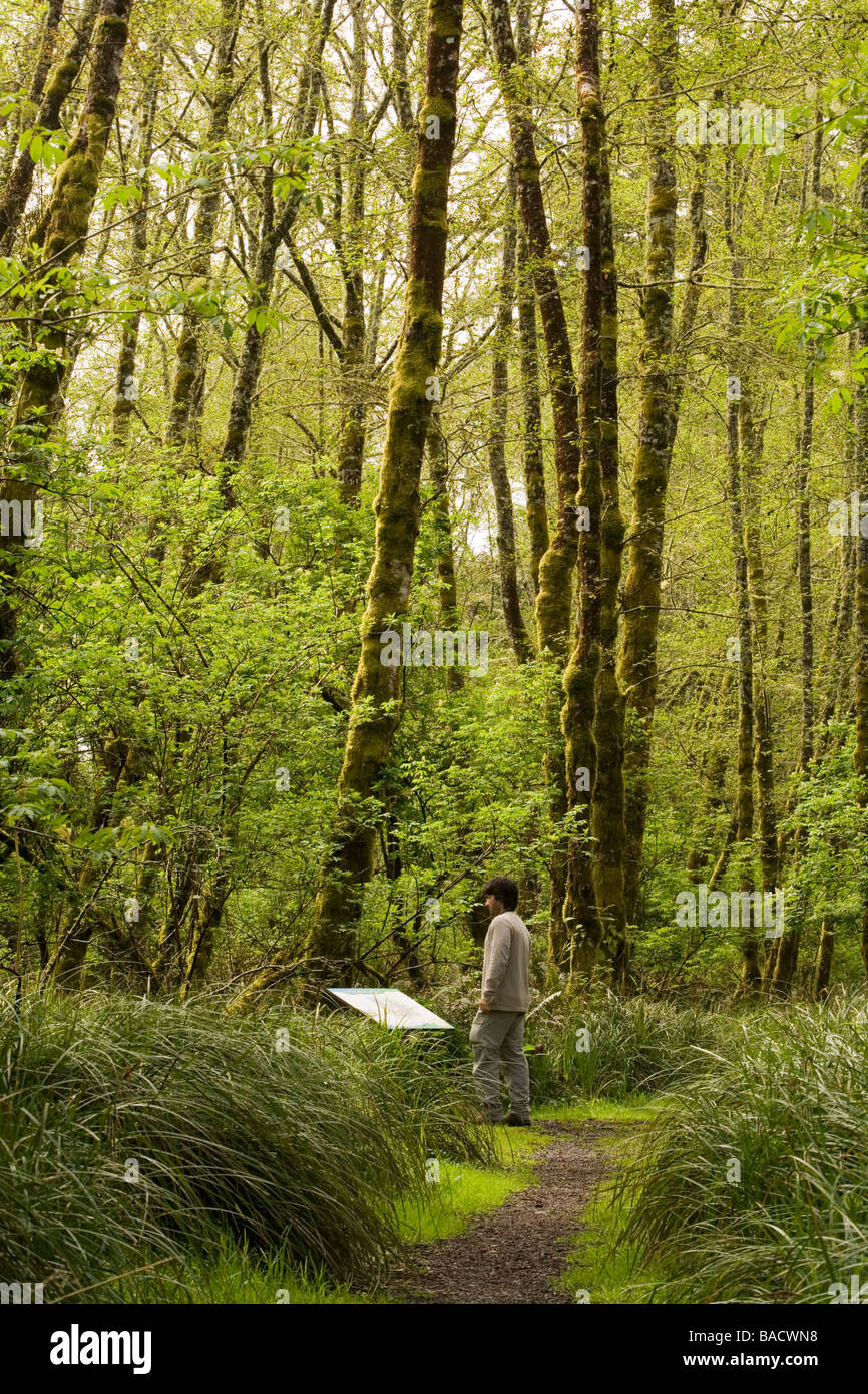 Persona a dichiarazioni interpretative segnavia - Cape delusione del Parco Statale di Washington Foto Stock