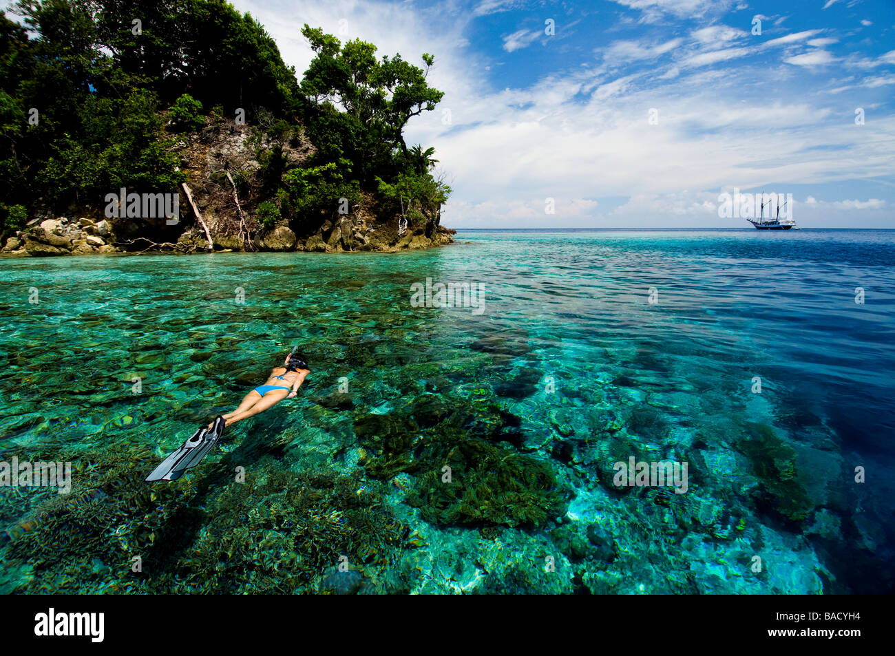 Lo snorkeling in Raja Empat, Papua, Indonesia, femmina subacqueo, bikini, acqua chiara, fondali bassi fotosub, grande visibilità Foto Stock