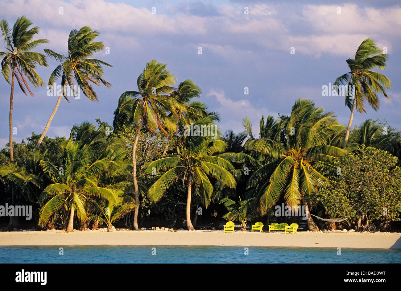 Bahamas, Andros isola, South Andros, spiaggia e palme di Eco Lodge Tiamo Resort Foto Stock