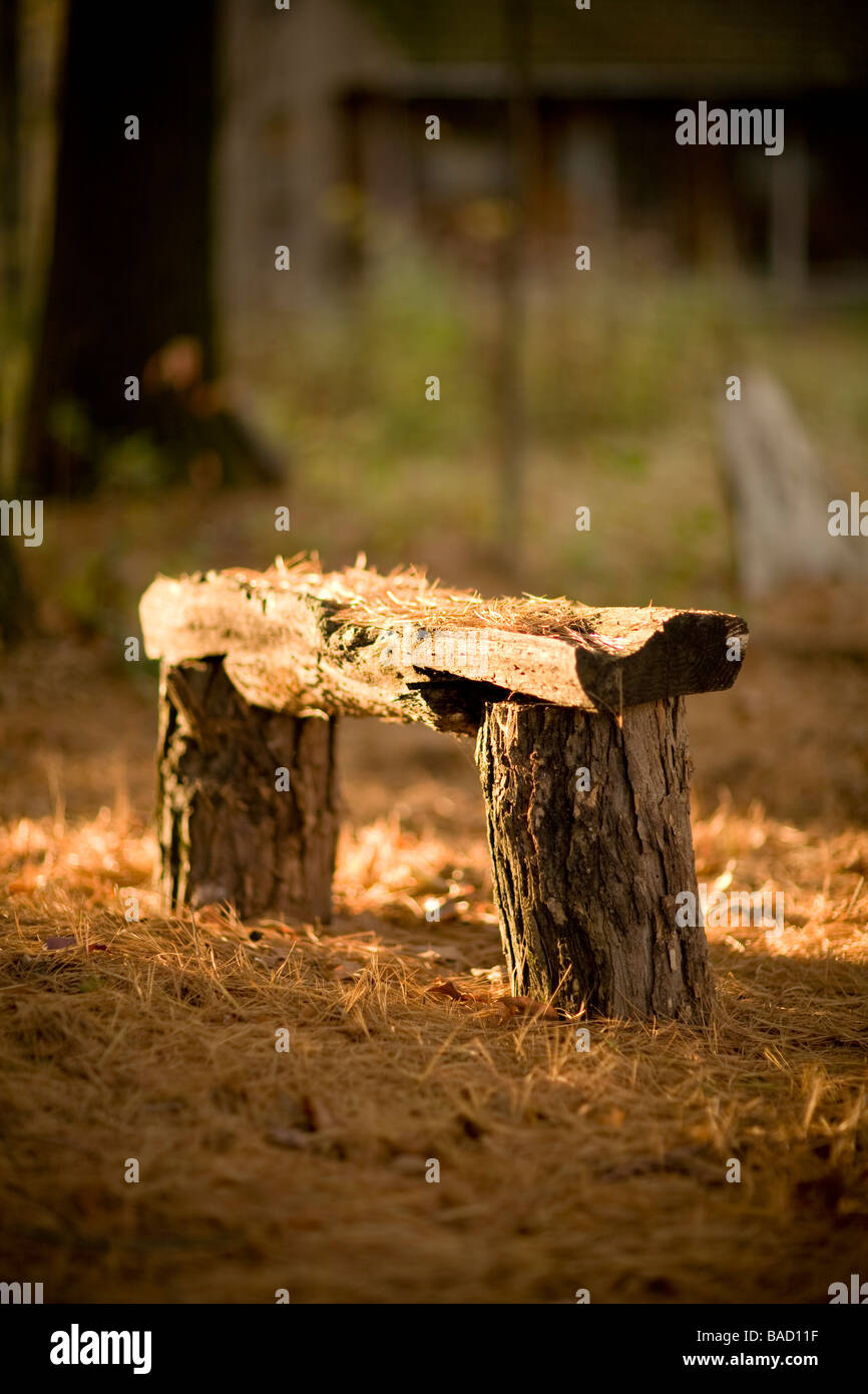 Rustico panca di legno nei boschi Foto Stock