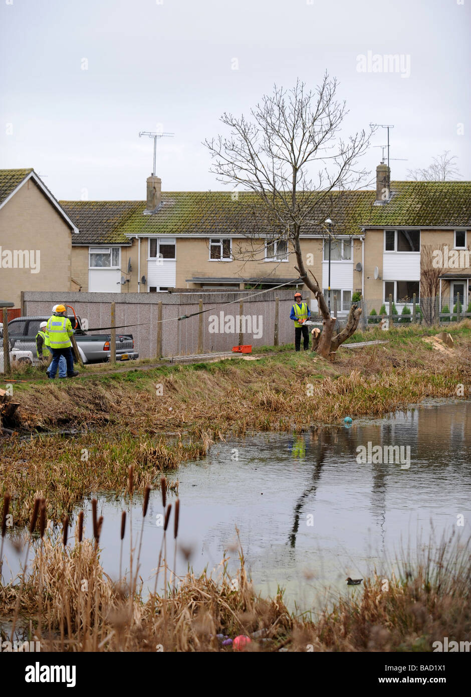 Lavoratori di alberi di compensazione dal percorso di traino a STONEHOUSE COME PARTE DEI LAVORI DI RESTAURO SULLA NAVIGAZIONE STROUDWATER CANAL GLOU Foto Stock