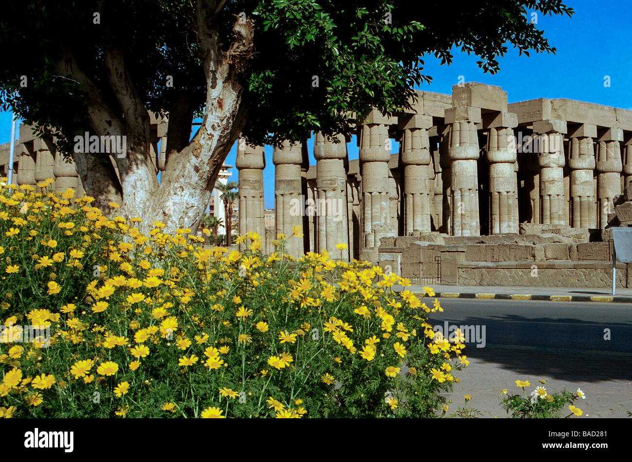 Tempio di Karnak dal lungomare giardini in Luxor, Egitto Foto Stock