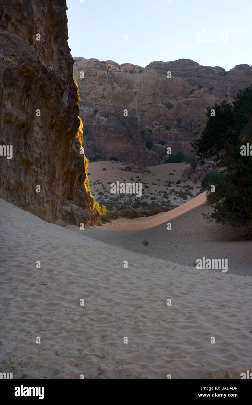 Sentiero di montagna sopra il deserto, Beidha (10 km. A nord di Petra) riserva archeologica della Giordania Foto Stock