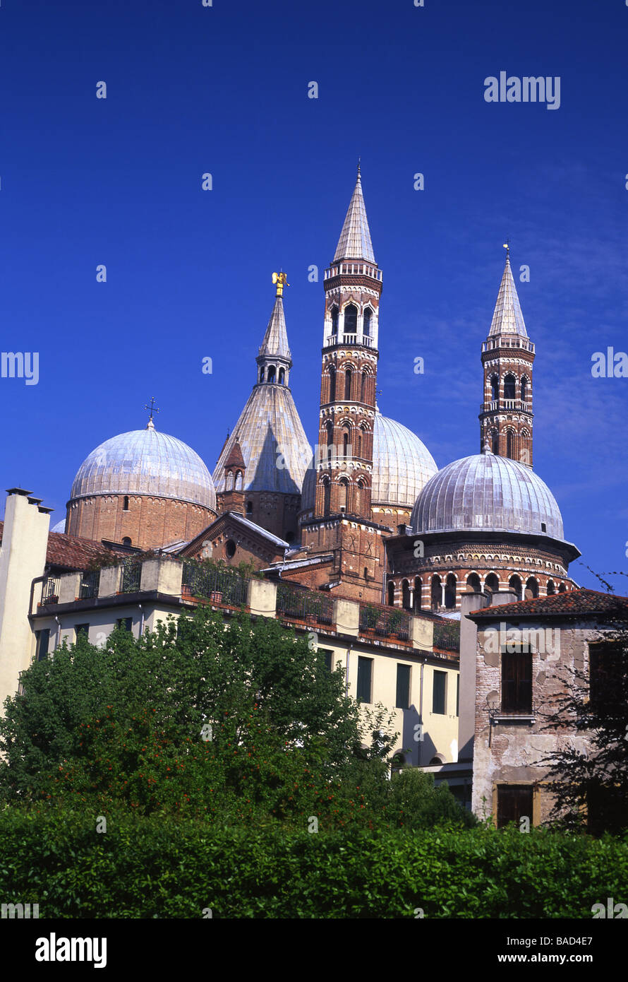 Basilica del Santo Basilica di Sant'Antonio di Padova Padova Padova Veneto Italia Foto Stock