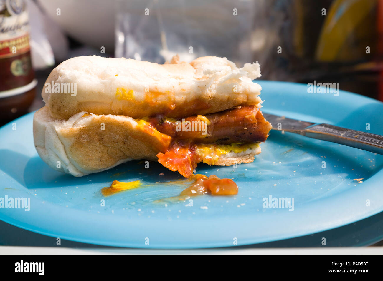 Una metà mangiato hot-dog e bun presso un Bar-B-Q il picnic. Con ketchup, senape e cipolla assaporare un blu piastra in plastica. Regno Unito. Foto Stock