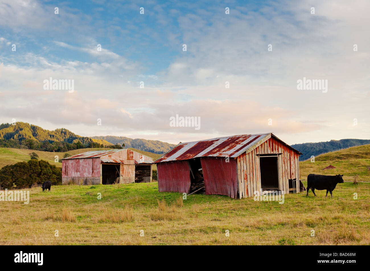 Amo questi vecchi fienili spiovente sulla Nuova Zelanda paesaggi. Ho raggruppato tre esposizioni tra parentesi per catturare la gamma dinamica. Foto Stock