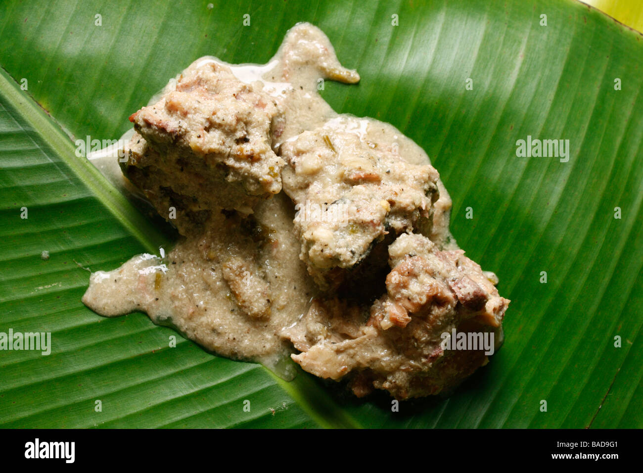 Carni di montone Curry è un non-veg piatto dal Kerala Foto Stock