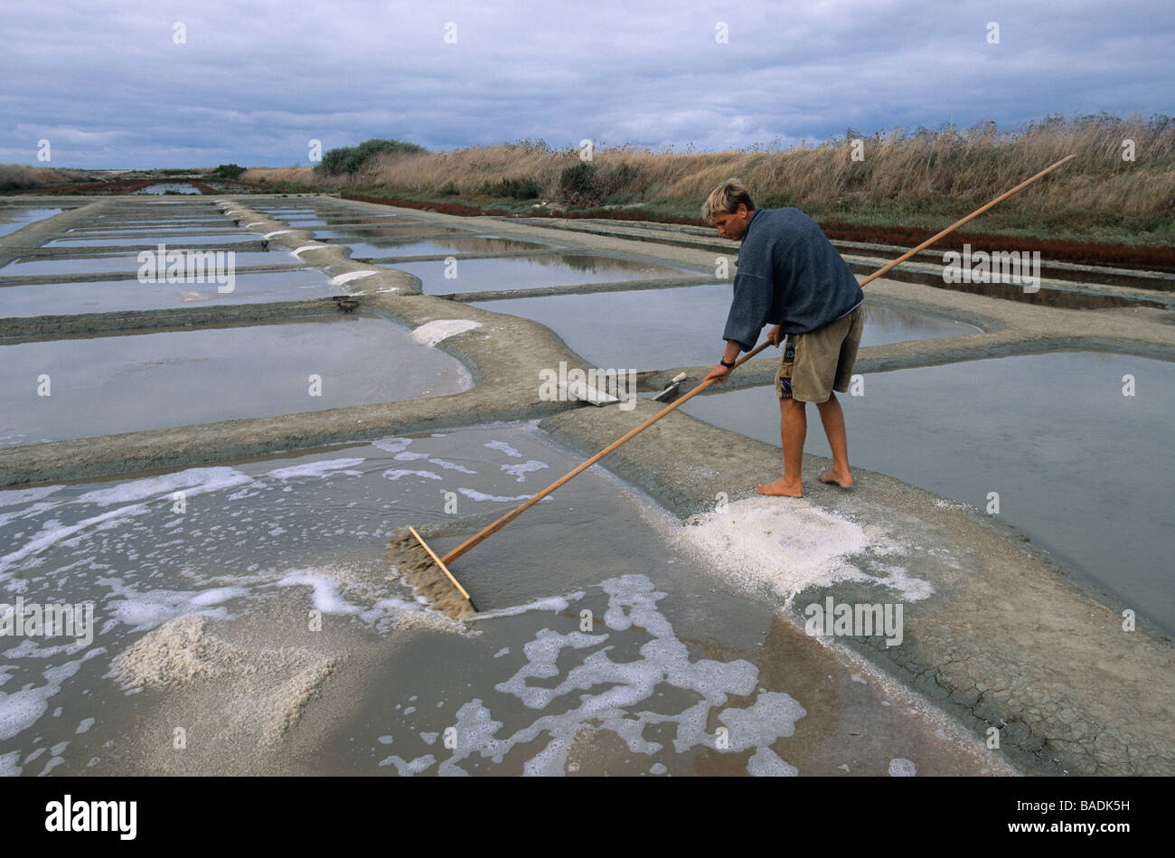 Francia, Charente Maritime, Loix en Re, Anse du Fier d Ars, sale la raccolta in una palude salata Foto Stock