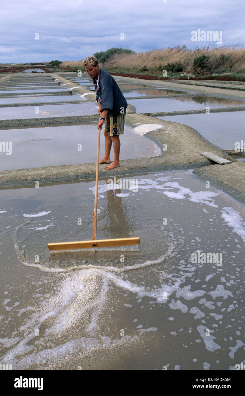Francia, Charente Maritime, Loix en Re, Anse du Fier d Ars, sale la raccolta in una palude salata Foto Stock