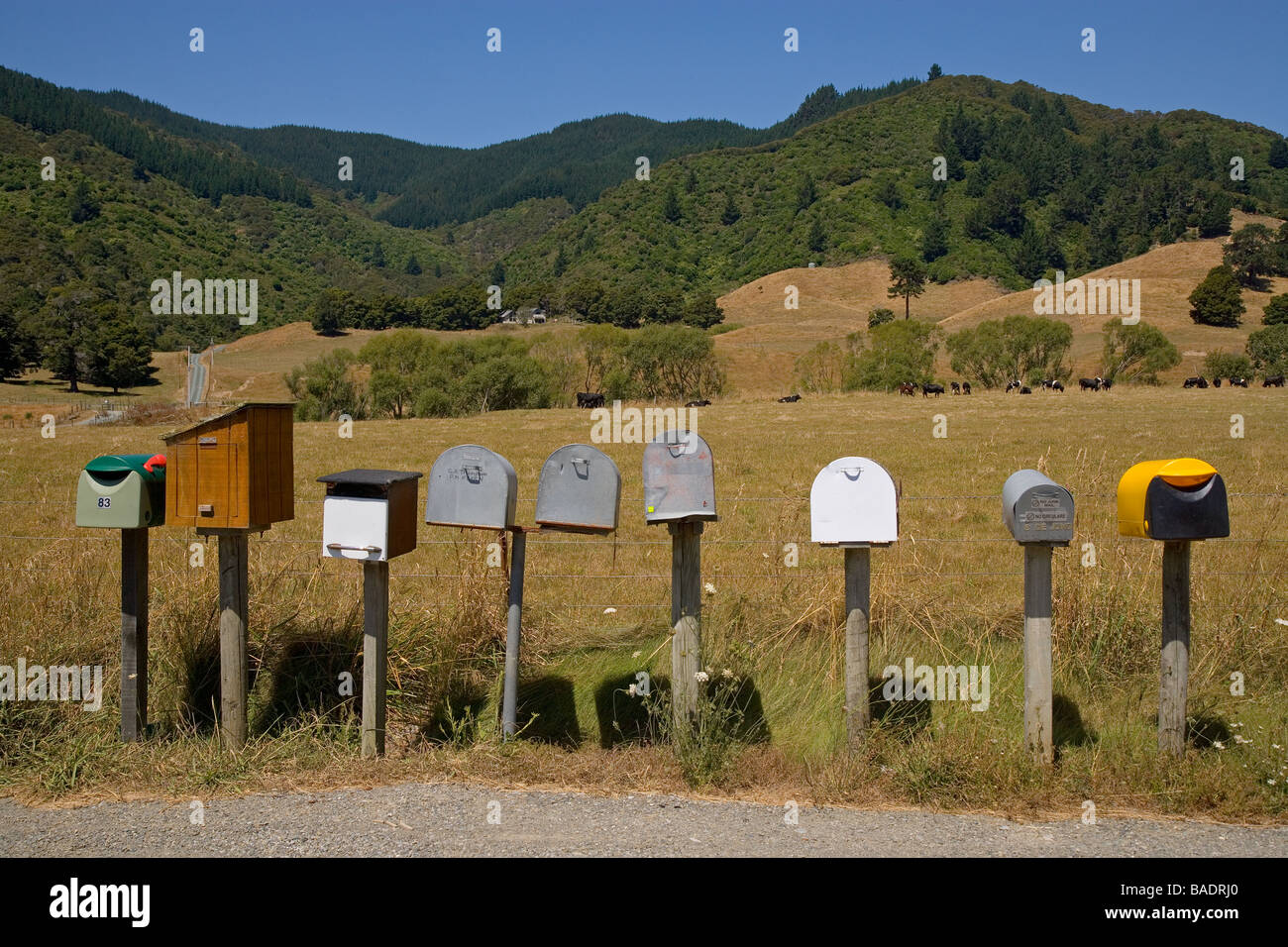 Rurale Caselle lettera della Nuova Zelanda Foto Stock