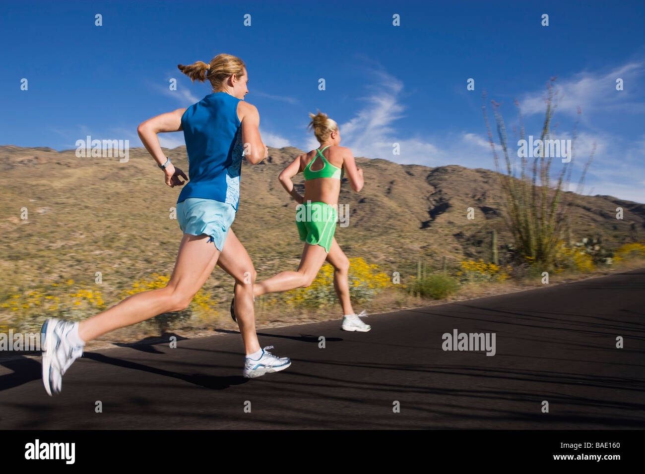 La donna in esecuzione su strada asfaltata, Parco nazionale del Saguaro, Tucson, Arizona, Stati Uniti d'America Foto Stock