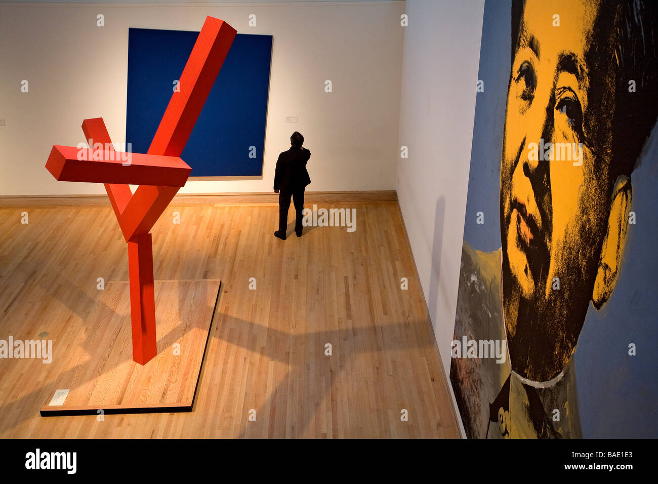 Stati Uniti, New York, il MET, Metropolitan Museum of Art, arte moderna, Mao 1973 da Andy Warhol, Untitled 2000-2001 da Joel Foto Stock