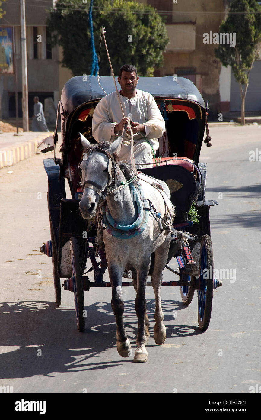 Mezzi di trasporto della città, Edfu, Egitto, Africa Settentrionale, Africa Foto Stock