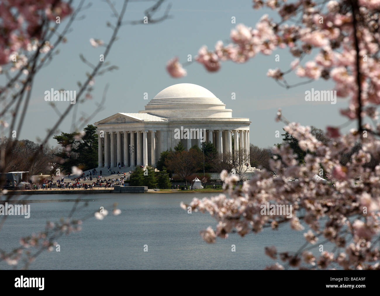 Il Jefferson Memorial durante il National Cherry Blossom Festival in Washington, DC. Foto Stock